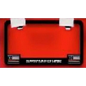 Pilot Automotive License Plate Frame - True Color  - WL818