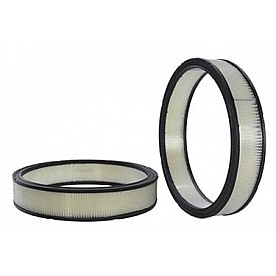 Wix Filters Air Filter - 42102