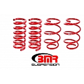 BMR Suspension Struts / Shocks / Coil Springs / Camber Plate Kit SP080R