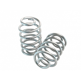 Bell Tech Coil Spring Set Of 2 - 4230
